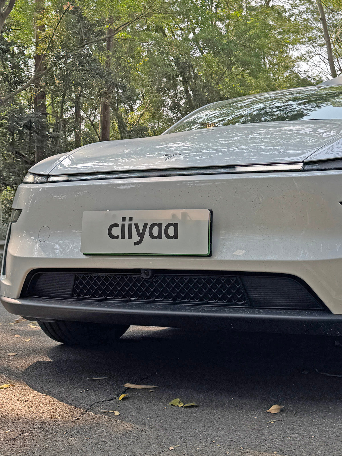 Front Grille Mesh for Tesla Model 3(21-26) / Y(20-26)