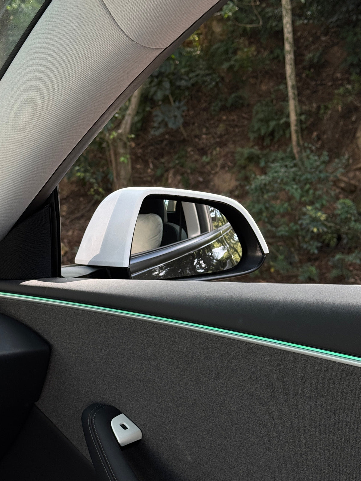 PureDeco Rear Mirror Cover for Tesla Model 3 Highland 24+