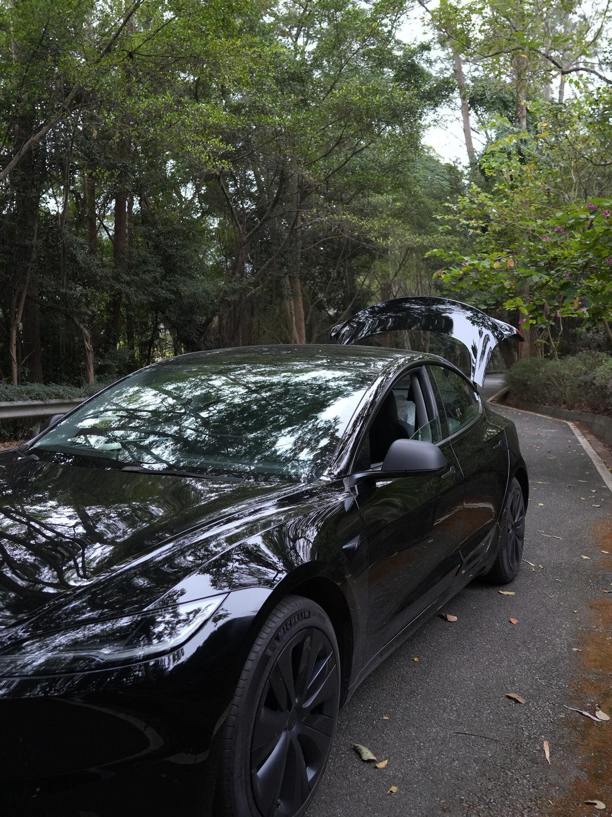 PureDeco Outside Door Handle Sticker for Tesla Model 3 Highland 24+ / Y Juniper 25+