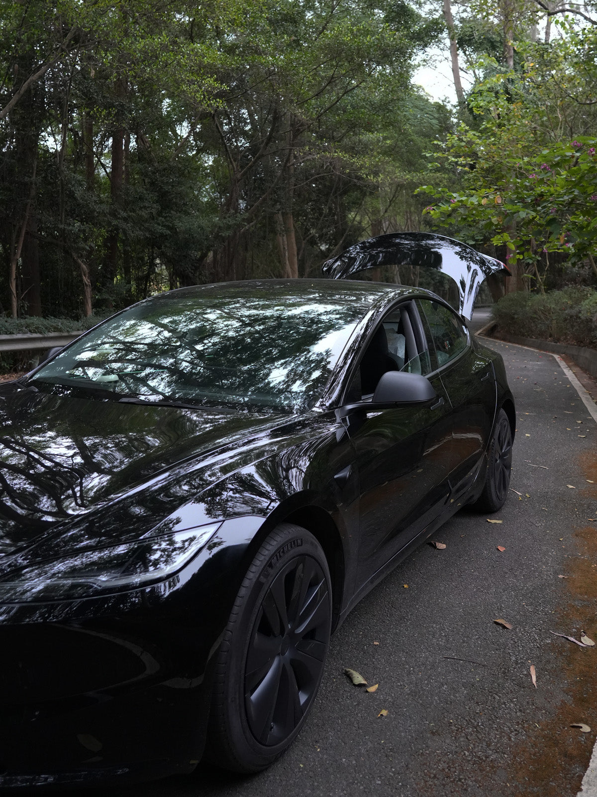 PureDeco Rear Mirror Cover for Tesla Model 3 Highland 24+