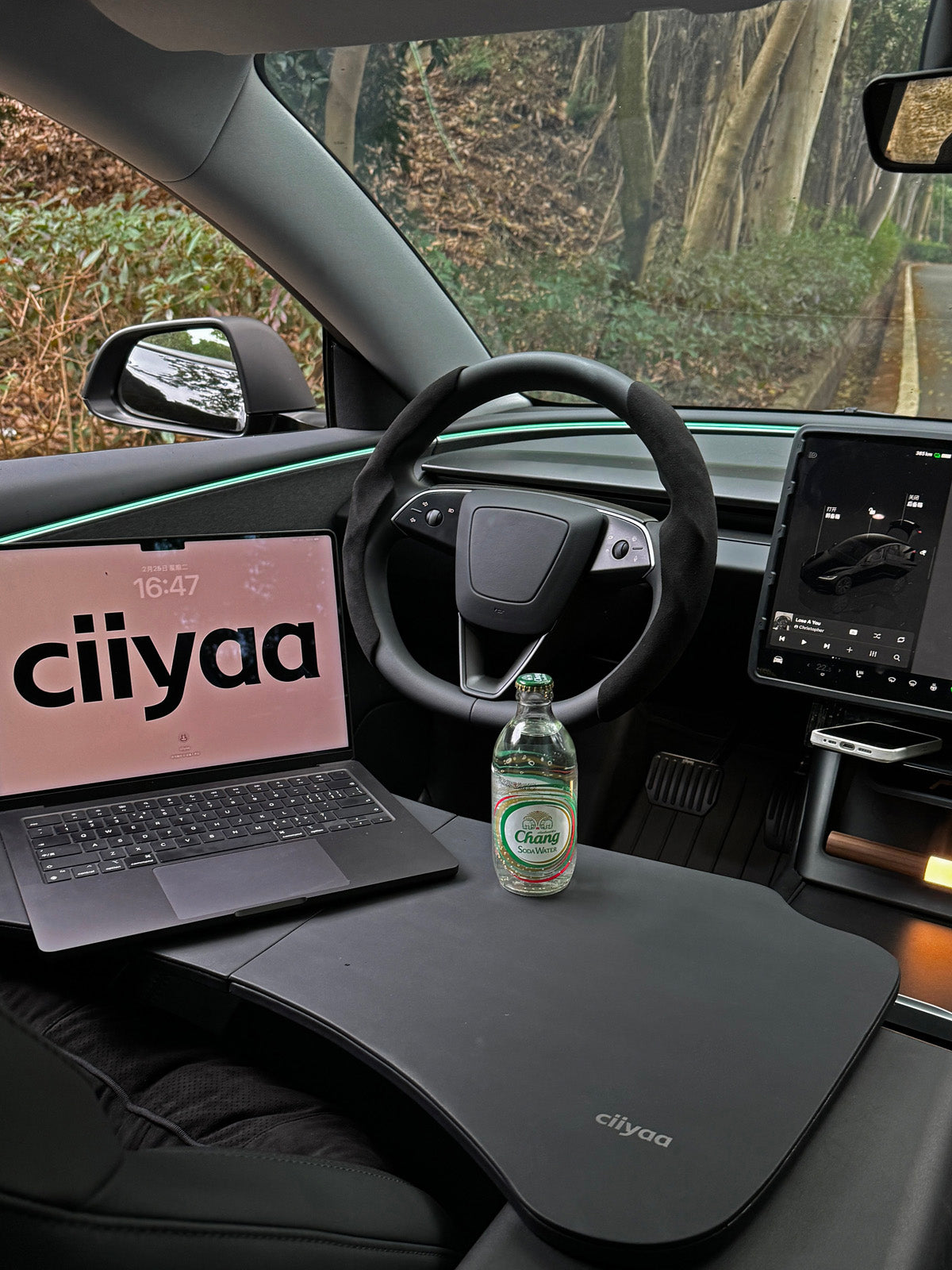 PureDeco Dashboard Cover for Tesla Model 3 Highland 24+ / Y Juniper 25+