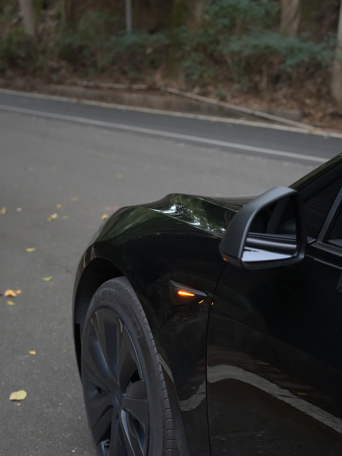 PureDeco Rear Mirror Cover for Tesla Model 3 Highland 24+