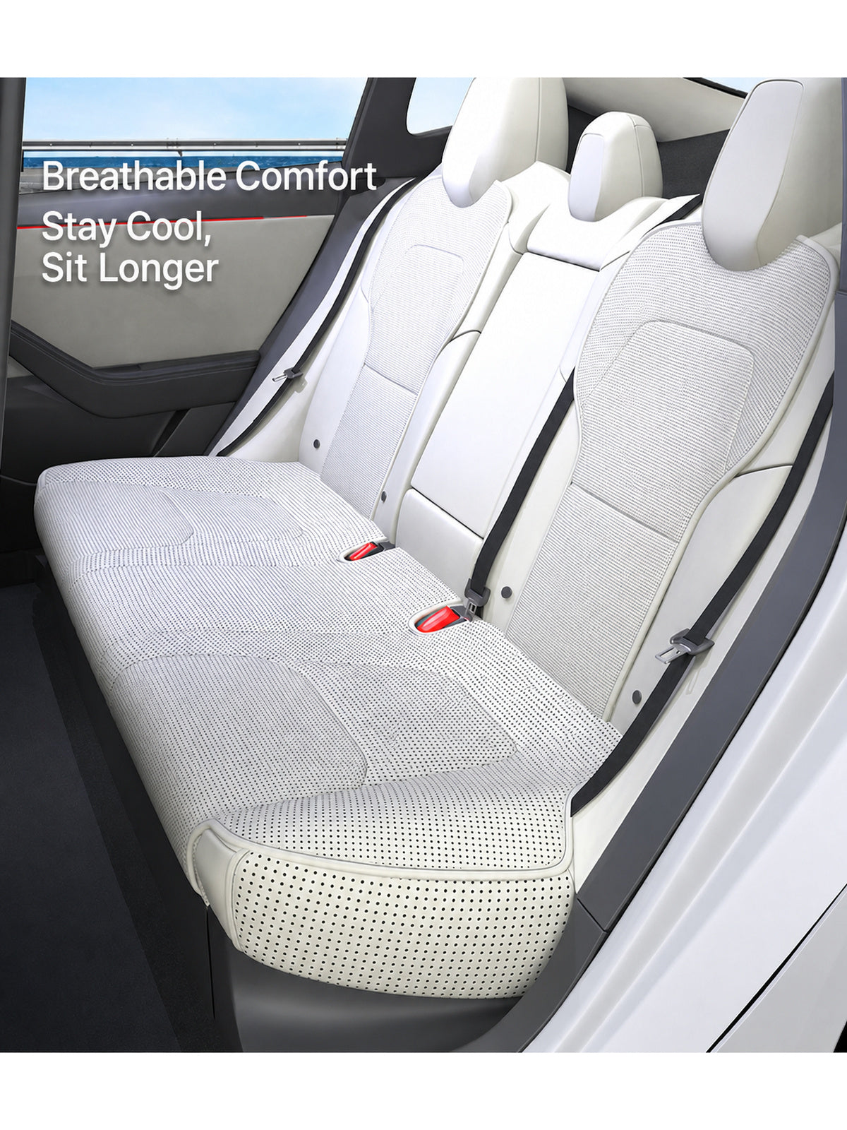Full-Wrap Seat Back Protector Set for Tesla - CXQ07.jpg