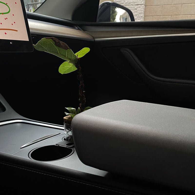 Soft Armrest Cover for Tesla Model 3(21-26) / Y(20-26)