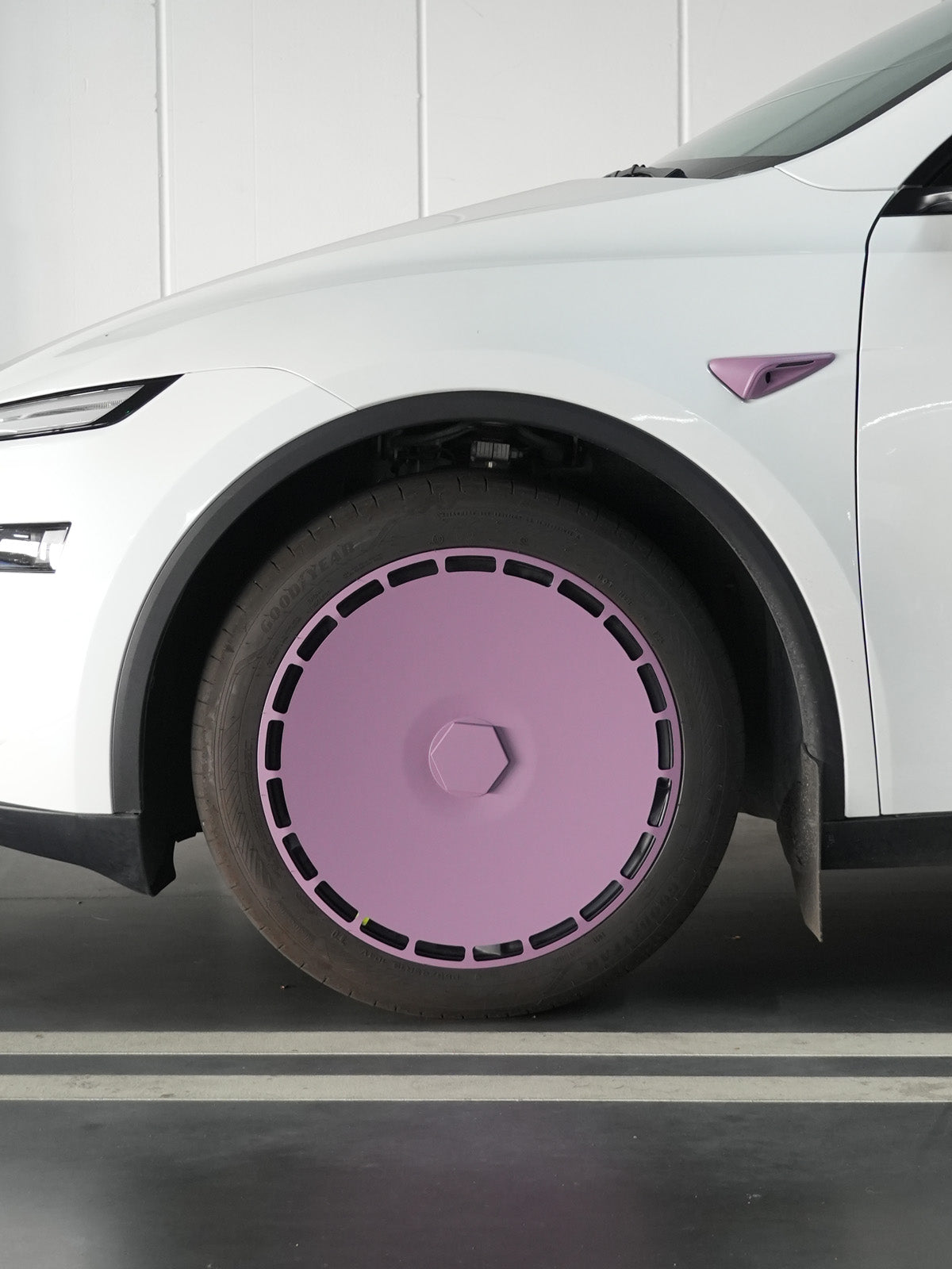TPCS323019 Raspberry Violet 3:4 real photo 1216 01