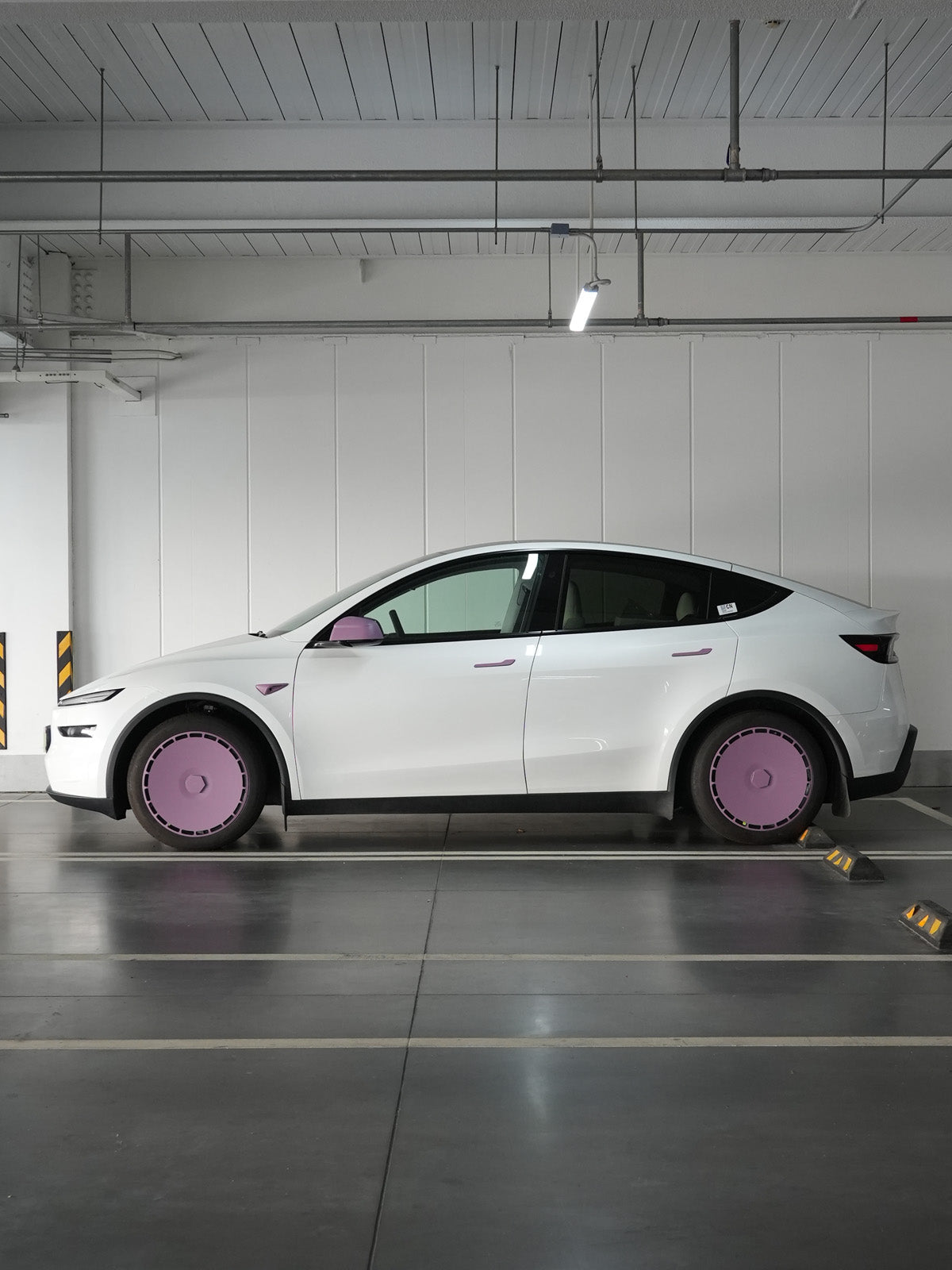 TPCS323019 Raspberry Violet 3:4 real photo 1216 02