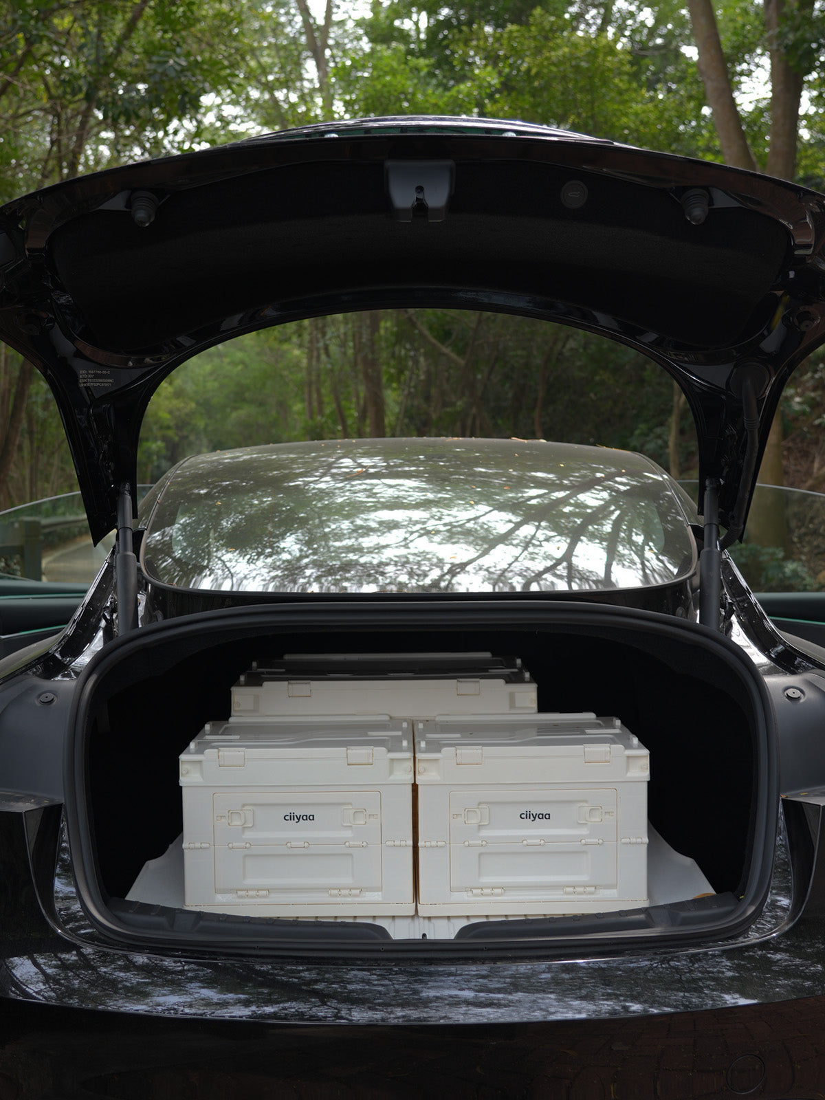 ciiyaa Foldable Storage Box