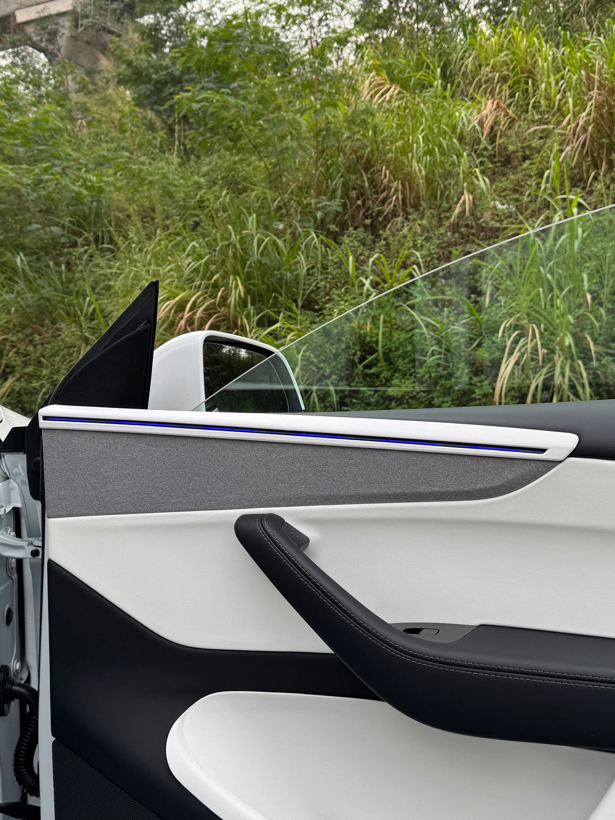 ciiyaa PureDeco Door Cover for Tesla Model Y(20-26) / YL(25-26)