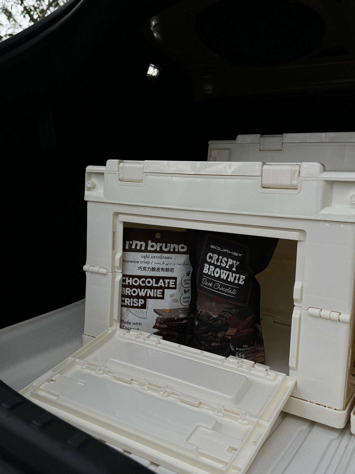 ciiyaa Foldable Storage Box