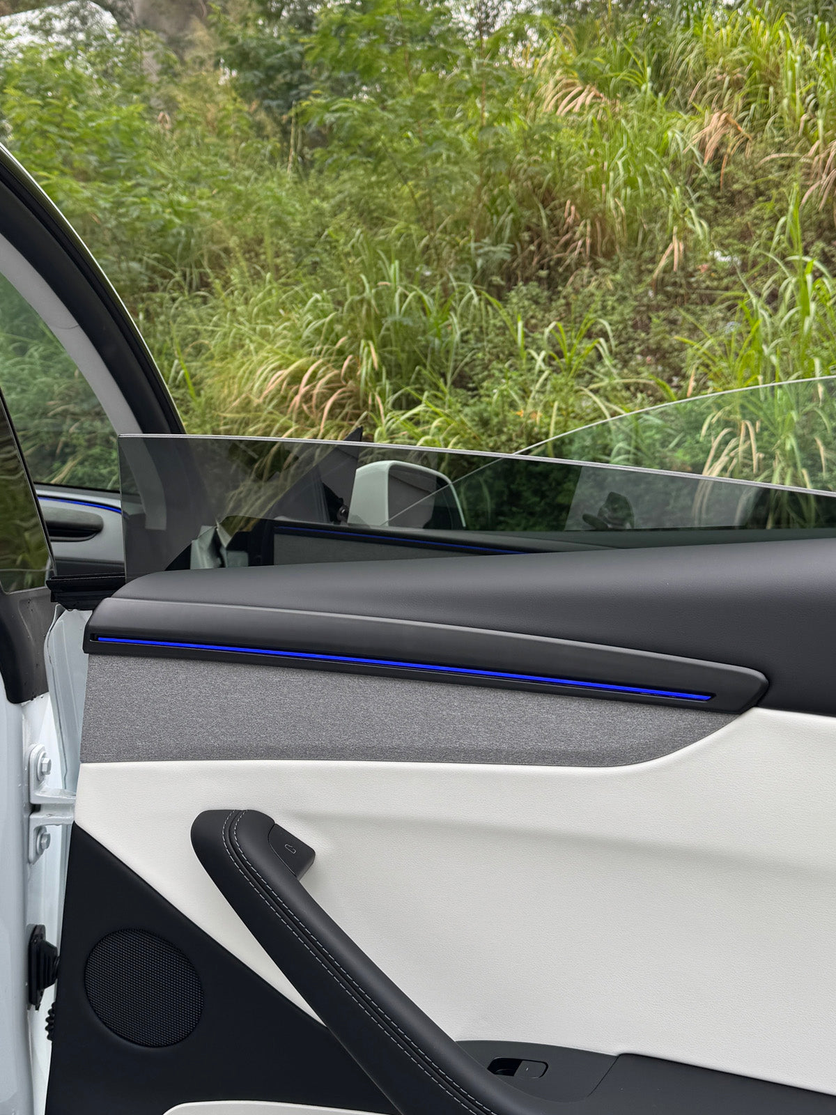 ciiyaa PureDeco Door Cover for Tesla Model Y(20-26) / YL(25-26)