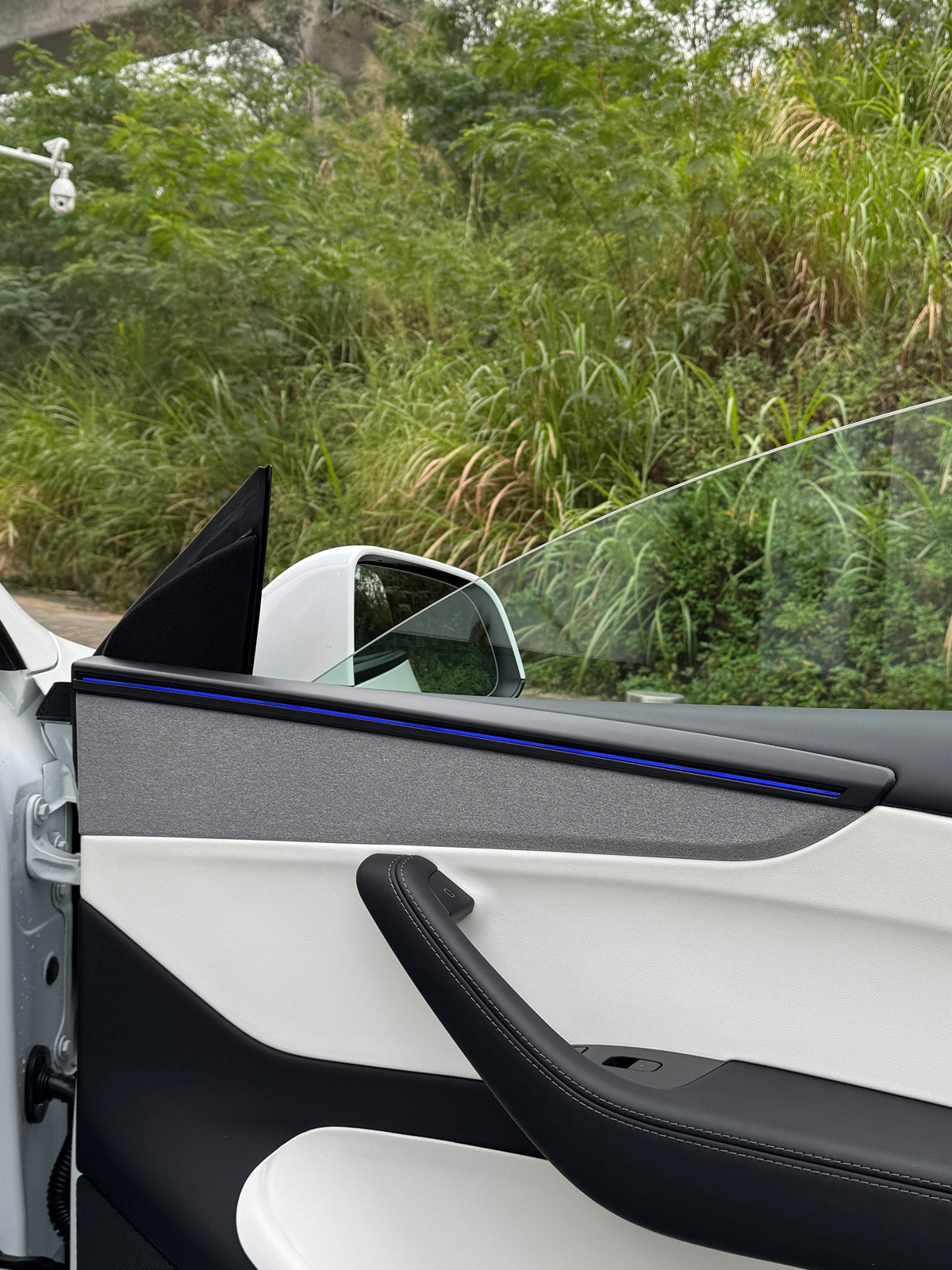 ciiyaa PureDeco Door Cover for Tesla Model Y(20-26) / YL(25-26)