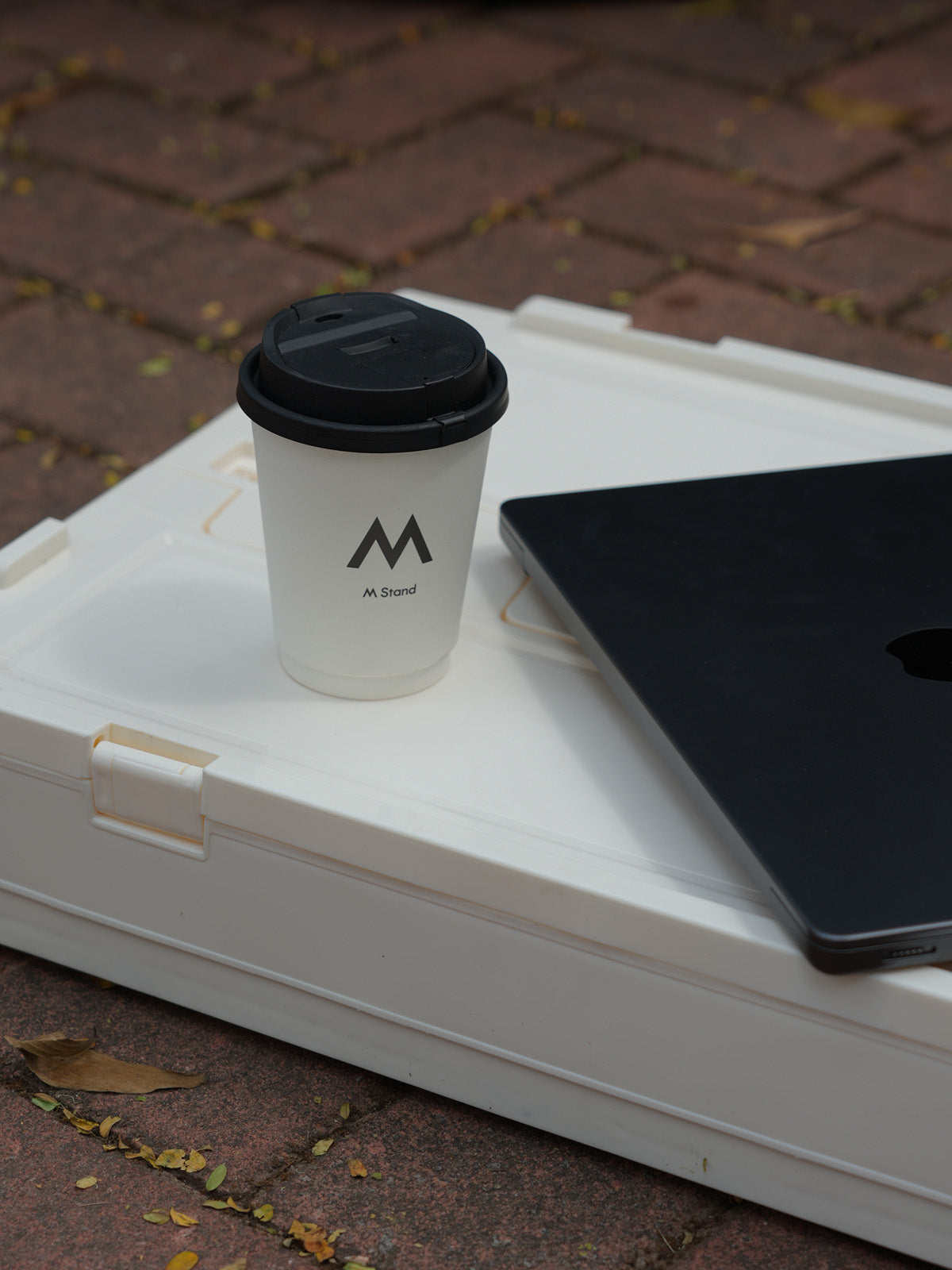 ciiyaa Foldable Storage Box
