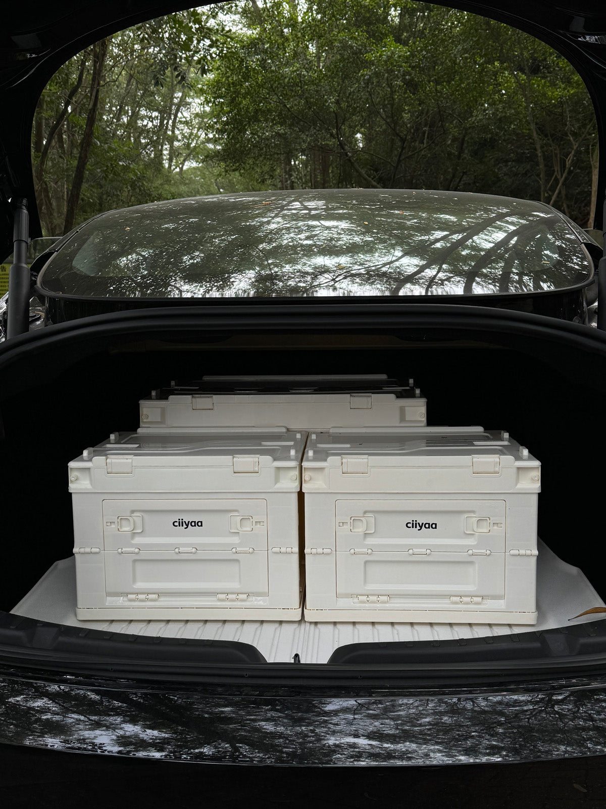 ciiyaa Foldable Storage Box