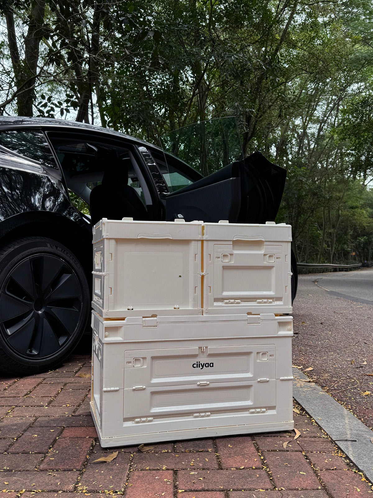 ciiyaa Foldable Storage Box